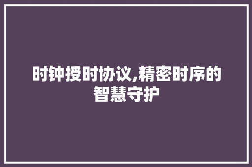 时钟授时协议,精密时序的智慧守护 服务器/数据库