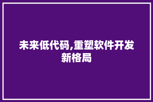 未来低代码,重塑软件开发新格局 Web前端