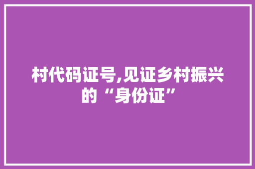 村代码证号,见证乡村振兴的“身份证” WordPress教程