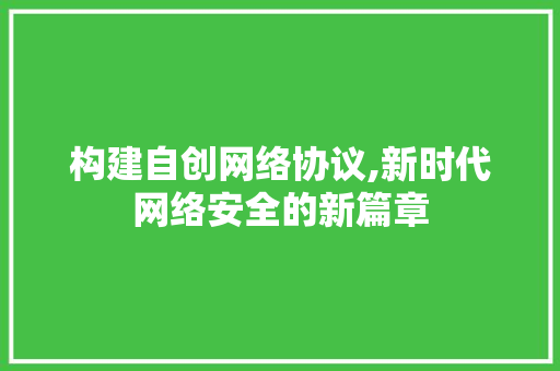 构建自创网络协议,新时代网络安全的新篇章 建站教程