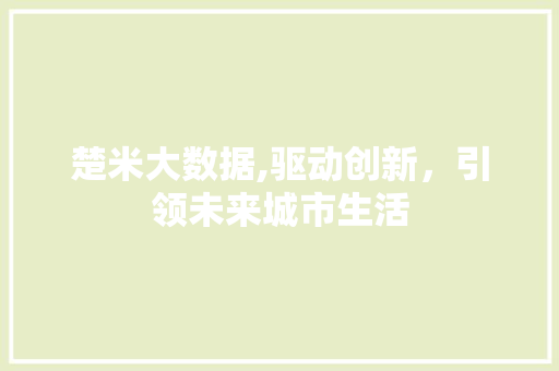 楚米大数据,驱动创新，引领未来城市生活 服务器/数据库