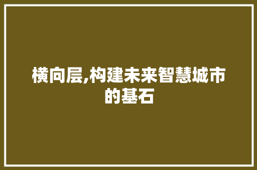 横向层,构建未来智慧城市的基石 Web前端