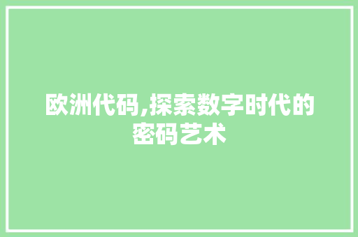 欧洲代码,探索数字时代的密码艺术 Web前端