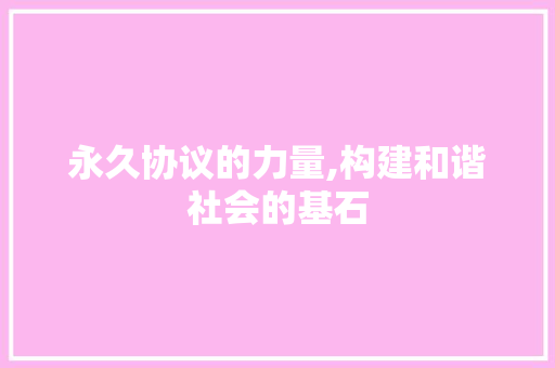 永久协议的力量,构建和谐社会的基石 服务器/数据库