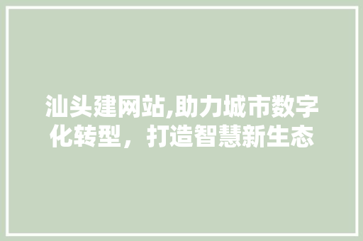 汕头建网站,助力城市数字化转型，打造智慧新生态 建站教程