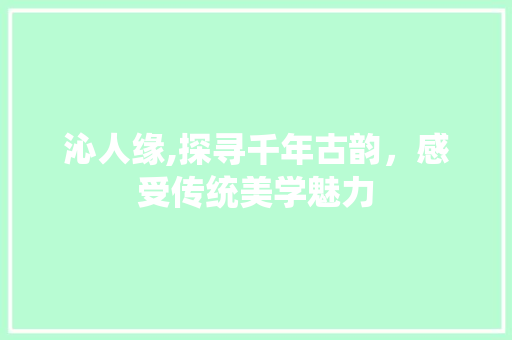 沁人缘,探寻千年古韵，感受传统美学魅力