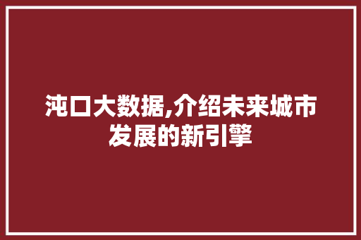 沌口大数据,介绍未来城市发展的新引擎 服务器/数据库