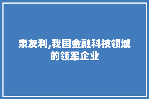 泉友利,我国金融科技领域的领军企业 建站教程