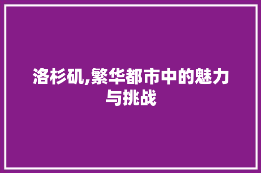 洛杉矶,繁华都市中的魅力与挑战 友链在线