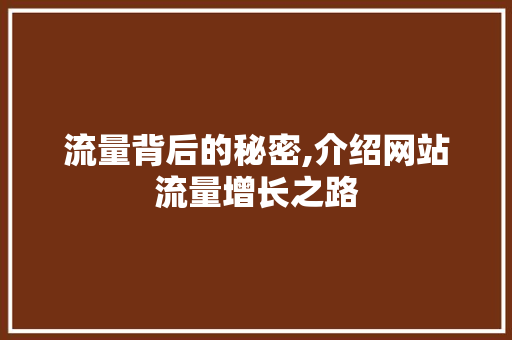 流量背后的秘密,介绍网站流量增长之路 WordPress教程