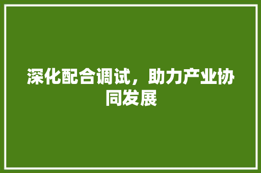 深化配合调试，助力产业协同发展 友链在线