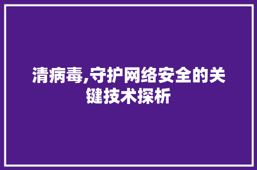 清病毒,守护网络安全的关键技术探析