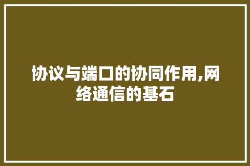 协议与端口的协同作用,网络通信的基石
