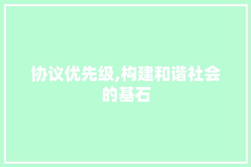 协议优先级,构建和谐社会的基石