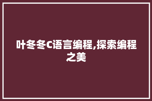叶冬冬C语言编程,探索编程之美