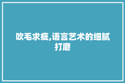 吹毛求疵,语言艺术的细腻打磨