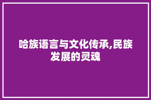 哈族语言与文化传承,民族发展的灵魂