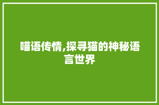 喵语传情,探寻猫的神秘语言世界