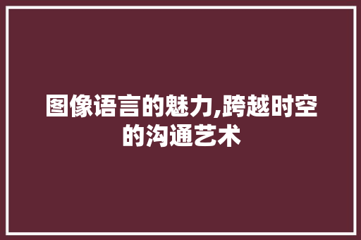 图像语言的魅力,跨越时空的沟通艺术