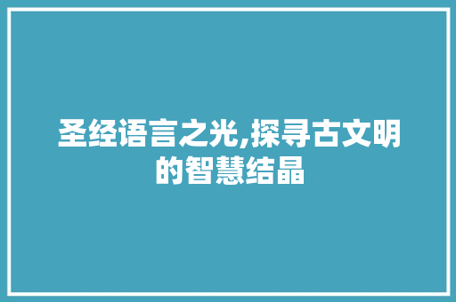 圣经语言之光,探寻古文明的智慧结晶
