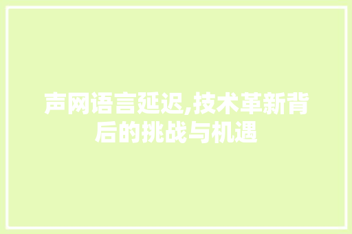声网语言延迟,技术革新背后的挑战与机遇