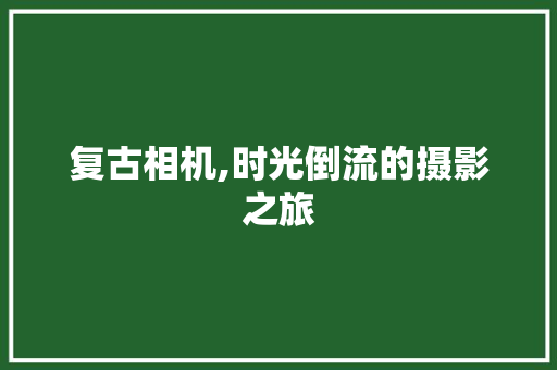 复古相机,时光倒流的摄影之旅 SEO教程