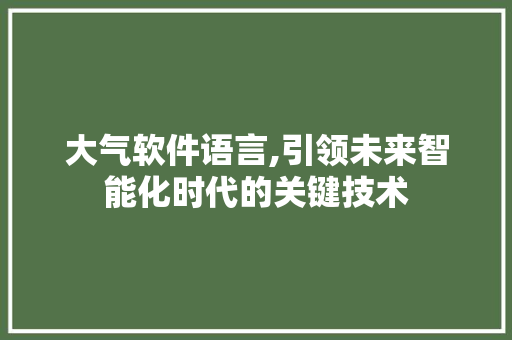 大气软件语言,引领未来智能化时代的关键技术