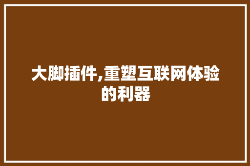 大脚插件,重塑互联网体验的利器