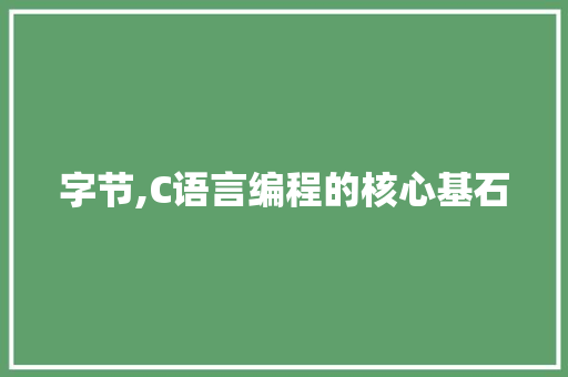 字节,C语言编程的核心基石