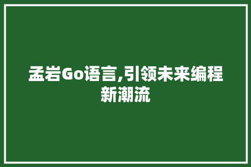孟岩Go语言,引领未来编程新潮流