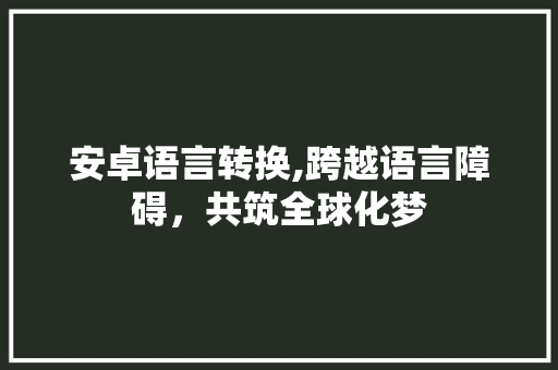 安卓语言转换,跨越语言障碍，共筑全球化梦