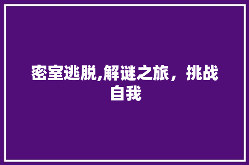 密室逃脱,解谜之旅，挑战自我
