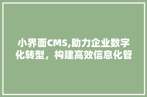 小界面CMS,助力企业数字化转型，构建高效信息化管理平台