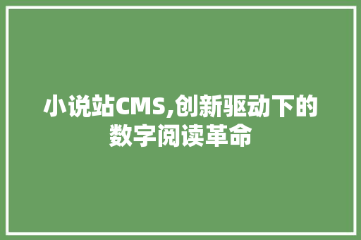 小说站CMS,创新驱动下的数字阅读革命 Web前端