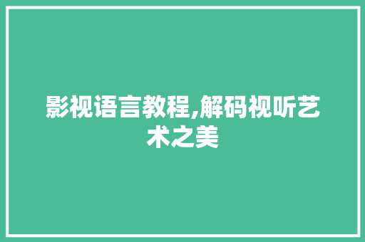 影视语言教程,解码视听艺术之美