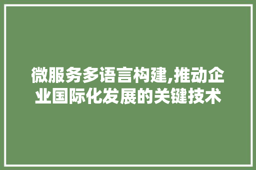 微服务多语言构建,推动企业国际化发展的关键技术