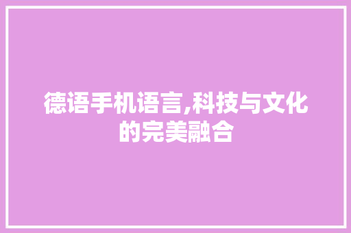 德语手机语言,科技与文化的完美融合