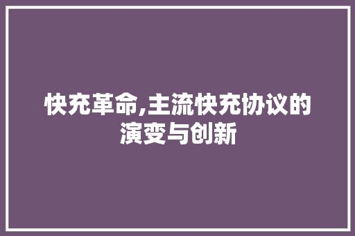 快充革命,主流快充协议的演变与创新