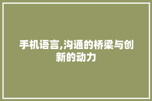 手机语言,沟通的桥梁与创新的动力