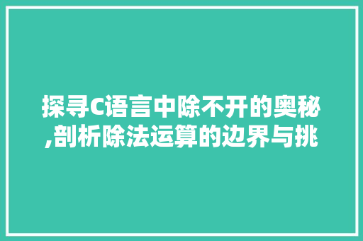 探寻C语言中除不开的奥秘,剖析除法运算的边界与挑战