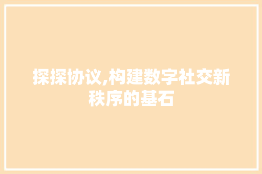 探探协议,构建数字社交新秩序的基石