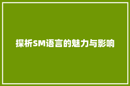 探析SM语言的魅力与影响 服务器/数据库