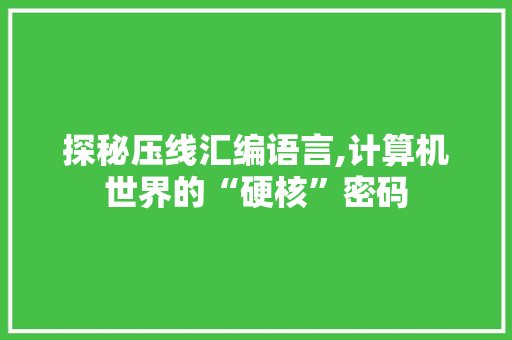 探秘压线汇编语言,计算机世界的“硬核”密码