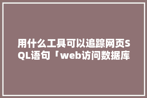 用什么工具可以追踪网页SQL语句「web访问数据库的步骤」 建站教程