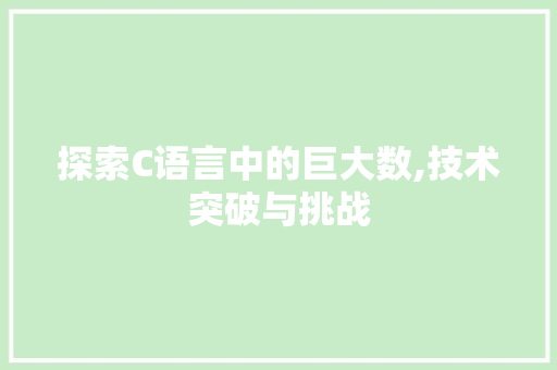 探索C语言中的巨大数,技术突破与挑战