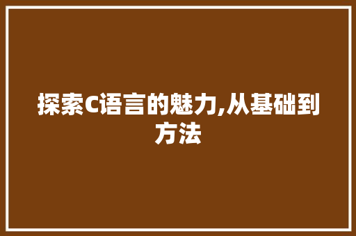 探索C语言的魅力,从基础到方法