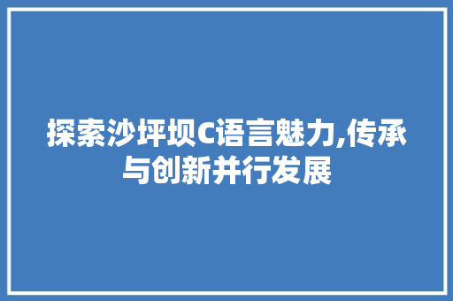 探索沙坪坝C语言魅力,传承与创新并行发展