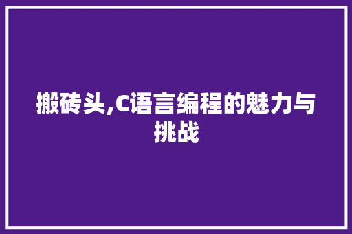 搬砖头,C语言编程的魅力与挑战
