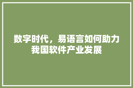 数字时代，易语言如何助力我国软件产业发展