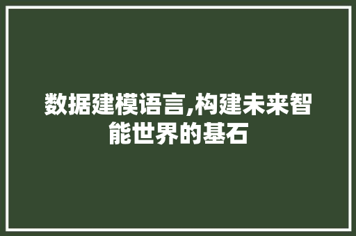 数据建模语言,构建未来智能世界的基石